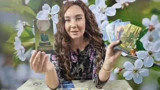 UTOROK 🧚‍♀️ 27. FEBRUÁRA 🌍 ODVAHA KONAŤ INAK 🎉 DENNÝ HOROSKOP TAROT NA ZVERODIKU ♈️♉️♊️♋️♌️♍️