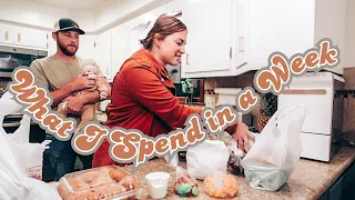 What I spend in a week as a Mennonite Homemaker and mom of 4 | Rural Pennsylvania