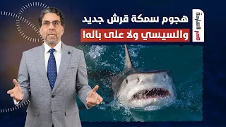 بعد هجـ ـوم سمكة قرش على مواطنة.. ناصر يكشف فضيحـ ـة مدوية للنظام!