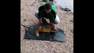 Приколы на рыбалке funny fishing incidents