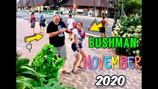 BUSHMAN NOVEMBER 2020 🤣😂🤪🤩😍