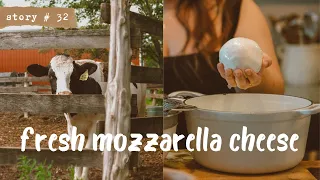 🥛🐮Make Mozzarella Cheese from Scratch with Me! | Homemade Pizza🍕