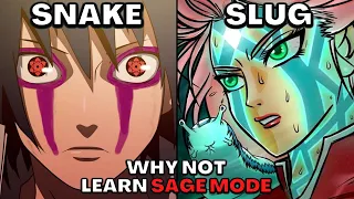 Why Doesn't Everyone Have Sage Mode?