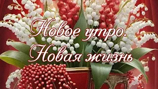 Новое утро Новая жизнь