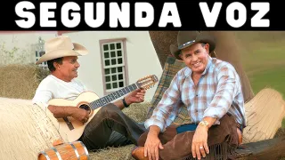 DANDO MOLE - GINO E GENO (KARAOKÊ COM SEGUNDA VOZ)