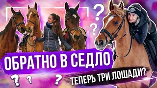 У МЕНЯ ТЕПЕРЬ ТРИ ЛОШАДИ | Где я была? | Возвращение на канал