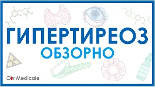 Гипертиреоз обзорно: механизм развития, основные симптомы, принципы лечения