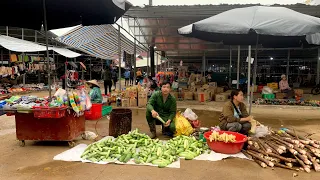 Harvest cucumber, go to market to sell,make truss for climbing susu,Build daily life