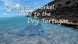 Snorkel guide to the Dry Tortugas