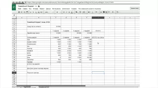 Введение в электронные таблицы (MS Excel). На примере семейного бюджета