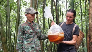 Go to the forest to pick medicine and buy wild honey, Vàng Hoa