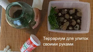 Как сделать террариум для улиток своими руками.  Мастер-класс.  Shark & Friend.