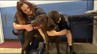 Thor, the Seizure Alert Dog