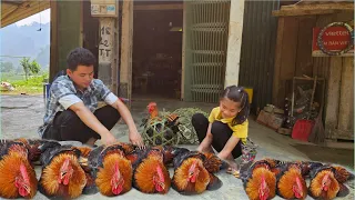 Phuong Vy and her uncle decided to sell their chickens to cover their current living