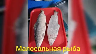 Малосолим рыбку... Чир и Сиг