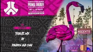 Defqon.1 2021 | Primal Energy | Magenta Tribute Mix by Pandion & Onni