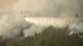 Waldbrände auf Teneriffa: Flammen zerstörten bereits fast 4000 Hektar