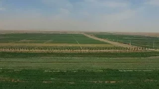 New technology in China turns desert into land rich with crops