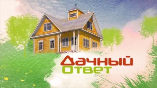 "Дачный ответ" от 05.03.2017, "Гостиная для авиаторов"