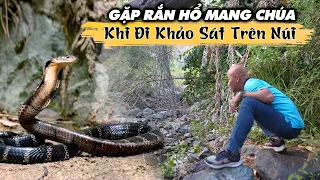 CHẠM TRÁN RẮN HỔ MANG CHÚA KHI ĐI KHẢO SÁT TRÊN NÚI