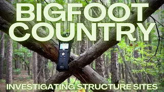 STRANGE BIGFOOT ACTIVITY IN THE OZARKS!