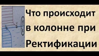 Что происходит в колонне при ректификации|Изобретатель|Ректификация