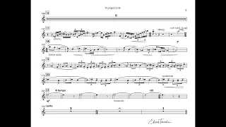 Shakhov, Ilya - Romantic Concerto for Trumpet - T.Dokshizer - trumpet Bb