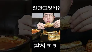 고양이야? 사람이야?