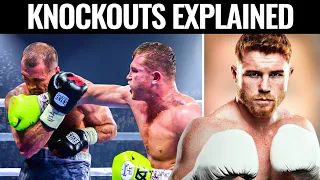 6 Brutal Canelo Alvarez Knockouts Explained