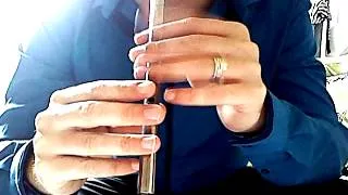 ELUVEITIE Origins, THE NAMELESS Tin whistle cover and pipe part