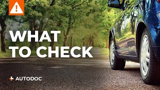 Car checks you need to carry out on your car after the winter | AUTODOC tips