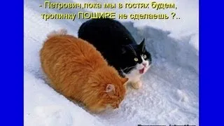 Котоматрица Приколы про кошек Выпуск 2