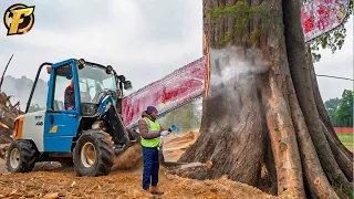 155 Incredible Fastest Big Chainsaw Machines For Cutting Trees ► 15