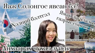 🇰🇷 Солонгос руу яаж явах бэ? |Хэлний бэлтгэл, Ямар зуучлалын газрыг сонгох вэ?, Анхаарах зүйлс !