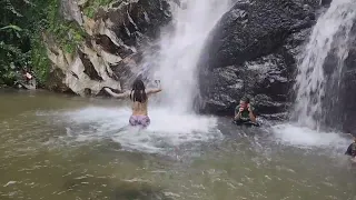 Templer Park Rainforest Waterfall