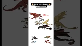 Размеры драконов / Dragon sizes