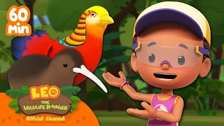 BUSY BIRDS THAT RUN FAST!! 🐦🐓💨 | Leo the Wildlife Ranger | Kids Cartoons