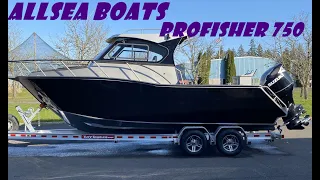 Allsea Profisher 750,25ft aluminum open cabin boat,2022 hot sale model