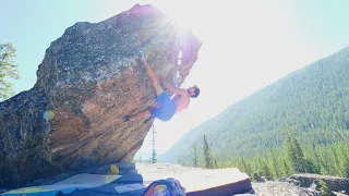 Tosh Sherkat - Welcome to... Pride Rock V11