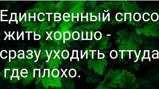 Мудрые выражения на мотивацию Афоризмы Цитаты Умные слова про жизнь #мотивация #афоризмы #цитаты