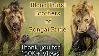 BLOOD THIRST BROTHERS of Rongai, Once called Black Rock Boys today leading the Rongai Pride Masai..