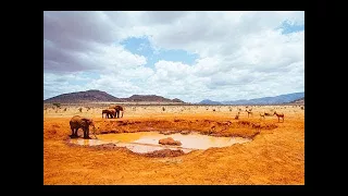 Africa's Animal Oasis - Nature Documentary ✔