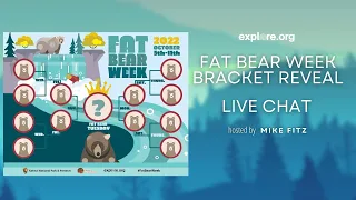 Fat Bear Week Bracket Reveal | Brooks Live Chat