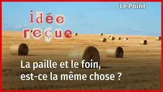 Foin et paille, est-ce la même chose ?