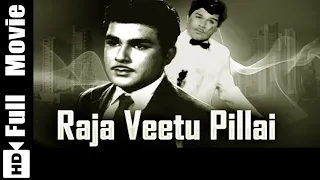 Raja Veetu Pillai