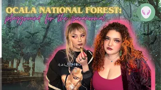 The Haunted Ocala National Forest