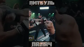 Knockdowns Top Dog Prospect 6 - Александр Питбуль Татарский vs Владислав Палач Сурков #shorts