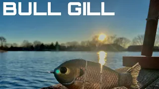 Bucca Bull Gill Review | From Bull Shad Swimbaits