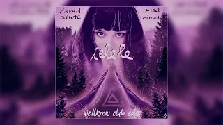 David Ciente x Irina Rimes - Ielele (Wellkrow Club Edit)