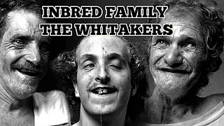 INBRED THE WHITAKERS FAMILY.